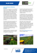 Low maintenance blueberry farming